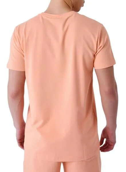 Camiseta Project x Paris Embroidery Coral Para Hombre